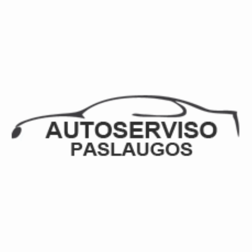 ﻿Maksi servisas, UAB logo