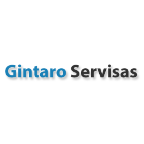 Gintaro Servisas logo